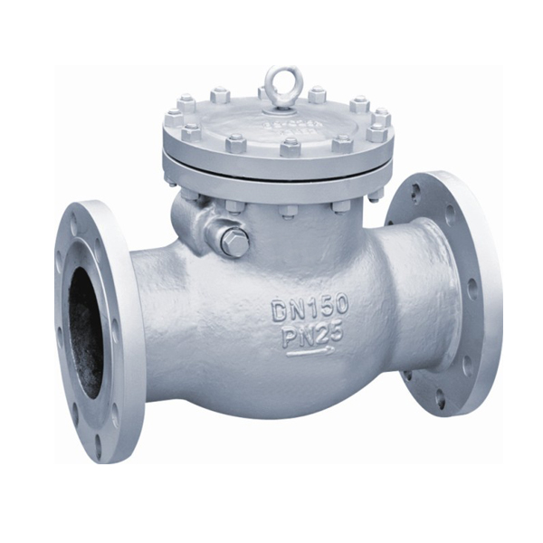 JIS F7372 - JIS 5K Cast Iron Swing Check Valve 